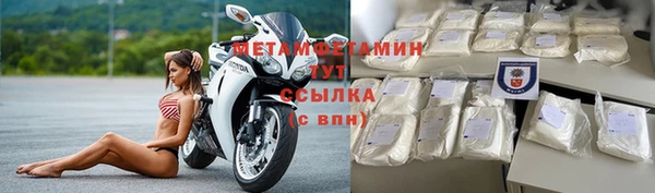 сатива Горняк