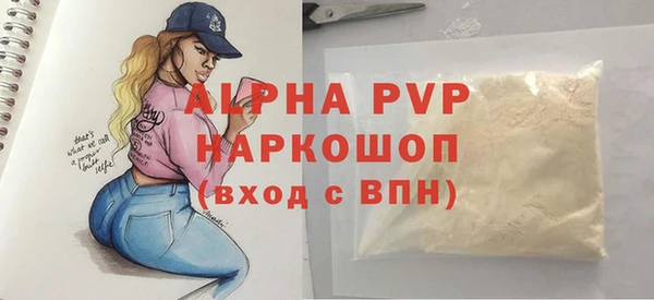 сатива Горняк
