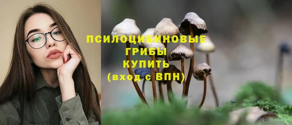 ешки Вязники