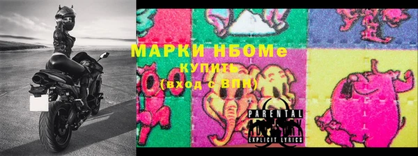 мдпв Горнозаводск