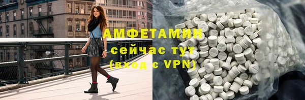сатива Горняк