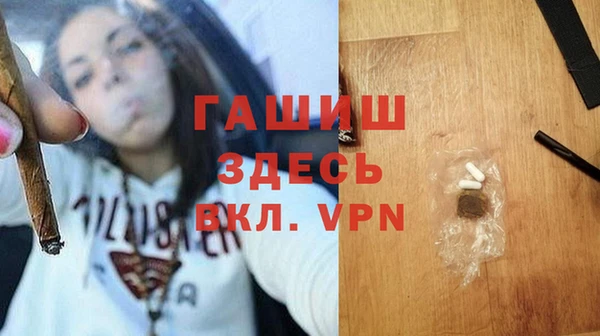 сатива Горняк
