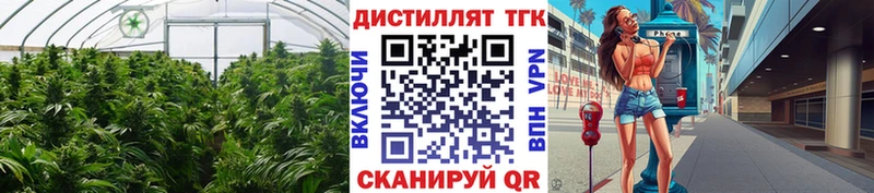 ТГК THC oil  Купить где  Краснодар 